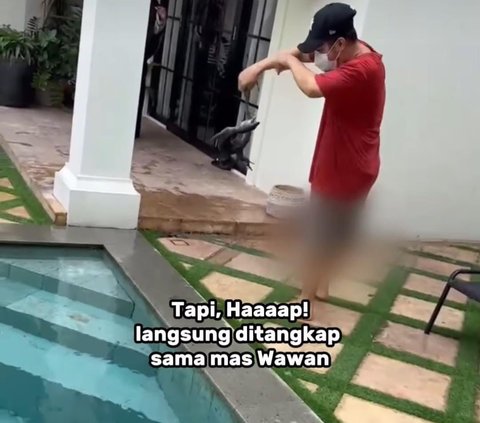 Rumah Teuku Wisnu Kedatangan Biawak, Penghuni Langsung Heboh dan Panik