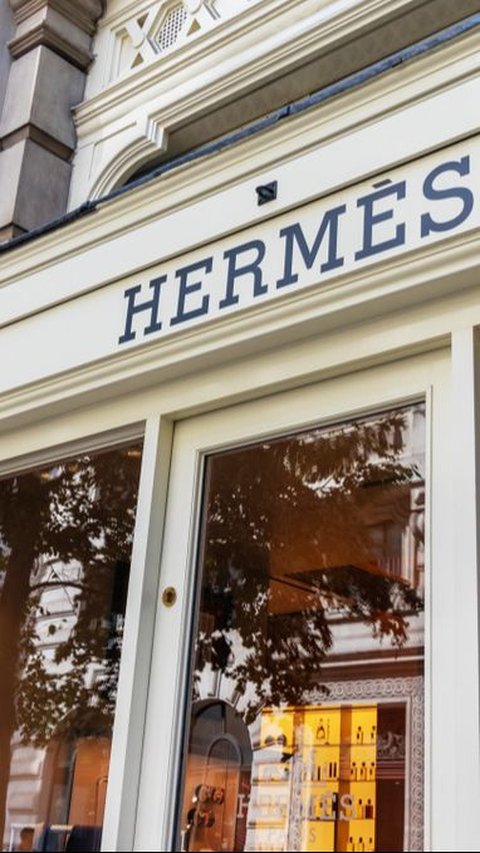 Difficult to Buy Birkin Bags, 2 Hermes Customers in the US File Lawsuit in Court