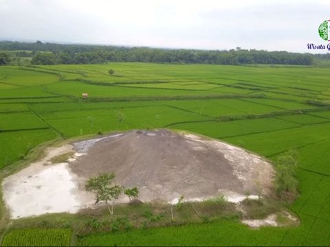 Viral Appearance of 'New Mountain' Bledug Kramesan in Grobogan After 6.5 Magnitude Earthquake in Tuban, Here's the Explanation from Geological Agency