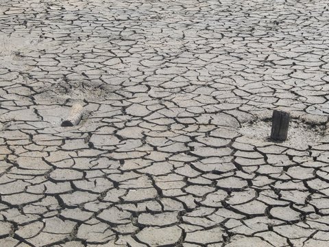 Viral Appearance of 'New Mountain' Bledug Kramesan in Grobogan After 6.5 Magnitude Earthquake in Tuban, Here's the Explanation from Geological Agency