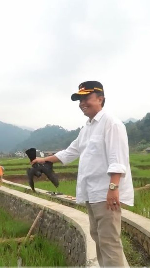 ⁠Pj Bupati Sumedang Herman Suryatman Main Burung di Tengah Sawah, Ternyata Ngelepek Merpati Susah <br>