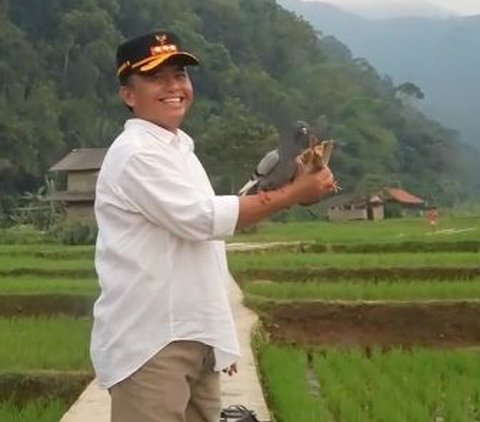 ⁠Pj Bupati Sumedang Herman Suryatman Main Burung di Tengah Sawah, Ternyata Ngelepek Merpati Susah