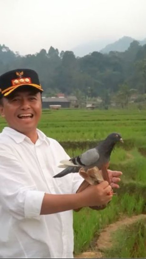 ⁠Pj Bupati Sumedang Herman Suryatman Main Burung di Tengah Sawah, Ternyata Ngelepek Merpati Susah