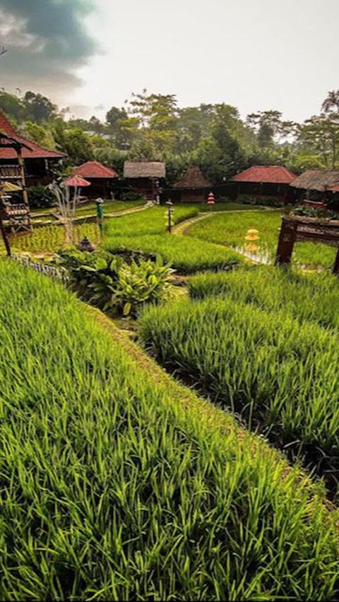 2. Sawah Segar Sentul<br>