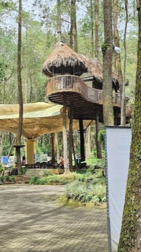 4. Kopeng Treetop Adventure Park<br>