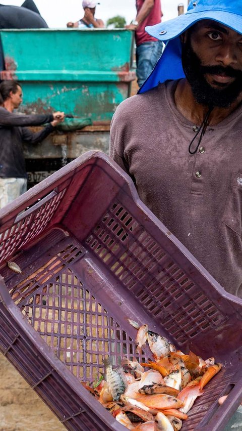 Punya Program Makan Gratis, Negara Ini Malah Alami Krisis Pangan