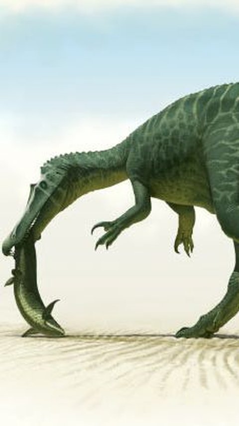 Ciri Fisik Spinosaurus