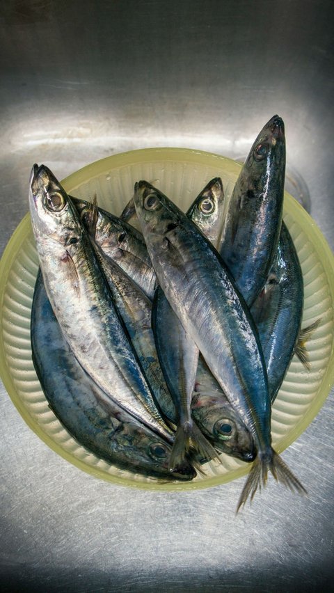 5. Resep Makanan Penggemuk Kucing Olahan Ikan<br>