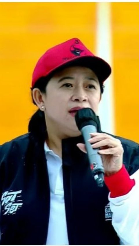 Megawati Belum Instruksikan Penggunaan Hak Angket Pemilu 2024, Puan Maharani Ungkap Alasannya<br>