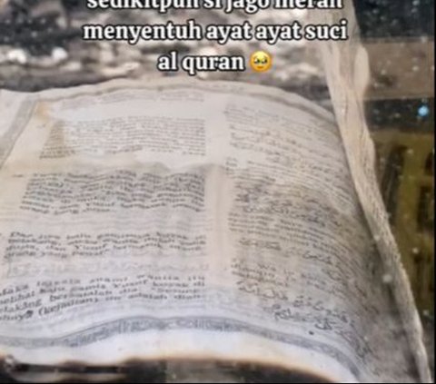 Viral Al Quran Ini Masih Utuh Usai Kebakaran Toko di Siak, Begini Penampakannya