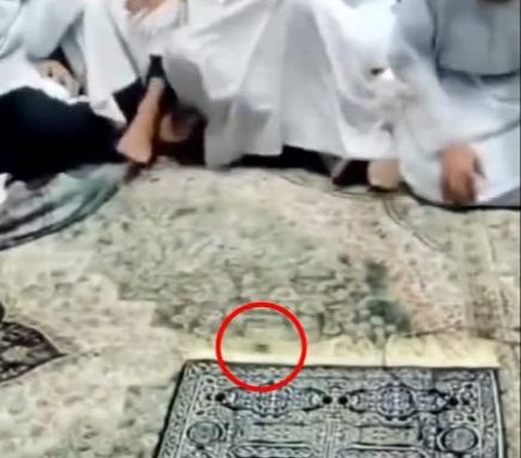 Laugh out loud! While Concentrated in Reading Prayers After Tarawih Prayer, Congregation is Disrupted by Flying Cockroaches