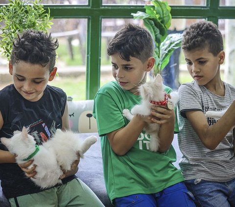 VIDEO Bocah Gaza Beri Makan Kucing Kelaparan Padahal Dirinya Sendiri Tidak Punya Makanan