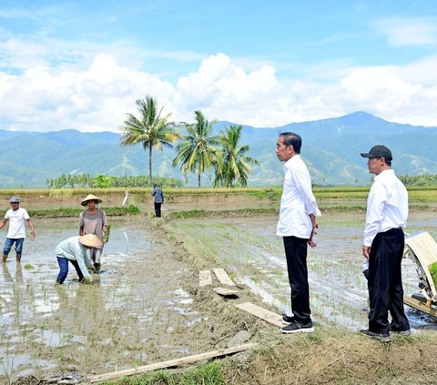 Kunjungan ini mencerminkan komitmen Presiden Jokowi dalam mengawal ketahanan pangan nasional dan keberpihakan pemerintah terhadap pertanian nasional.