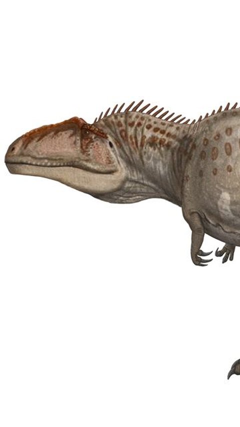 6. Giganotosaurus