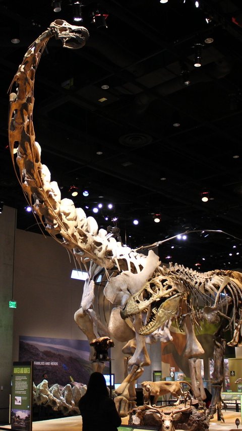 2. Alamosaurus