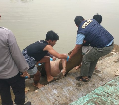 Mayat Tanpa Lengan Ditemukan Warga Mengapung di Sungai Cisadane