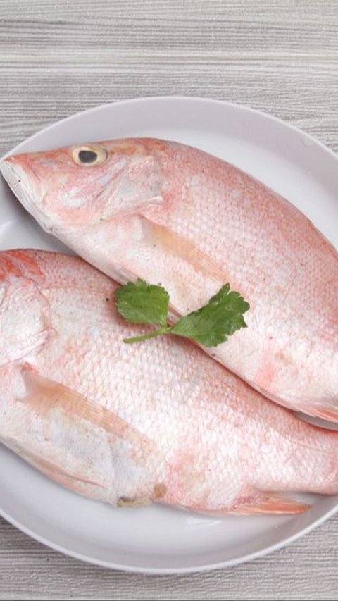 <b>1. Ikan Kakap Merah</b>