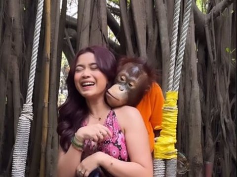 Creating Shock, Brisia Jodie's Moment of Posing Together with an Orangutan
