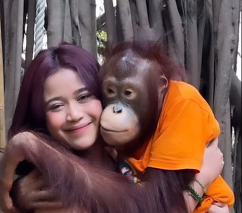 Creating Shock, Brisia Jodie's Moment of Posing Together with an Orangutan