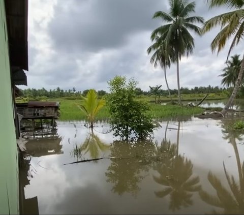 Aneh Tapi Nyata Banjir Tanpa Hujan di Pemukiman Transmigrasi Kalimantan Utara