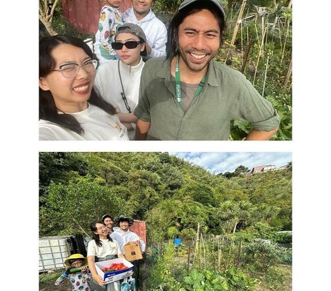 Potret Seru Isyana Sarasvati Asyik Panen Tomat di Kebun Kai Milik Sang Kakak di New Zealand