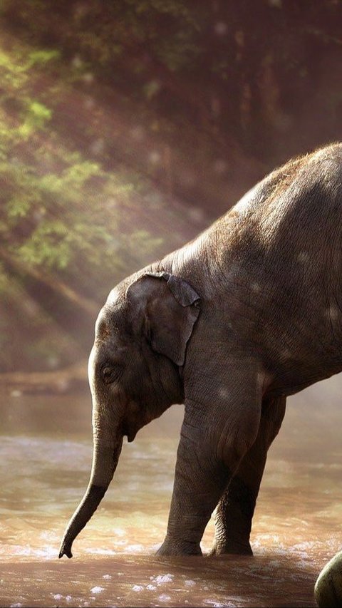 Begini Cara PLN Indonesia Power Ikut Lestarikan Gajah Sumatera Hampir Punah