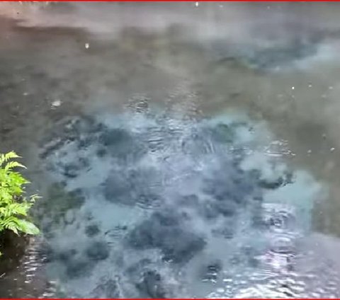 Desa di Magelang Ini Punya Mata Air Abadi, Sumber Air Jernih Melimpah Muncul dari Dasar Kolam