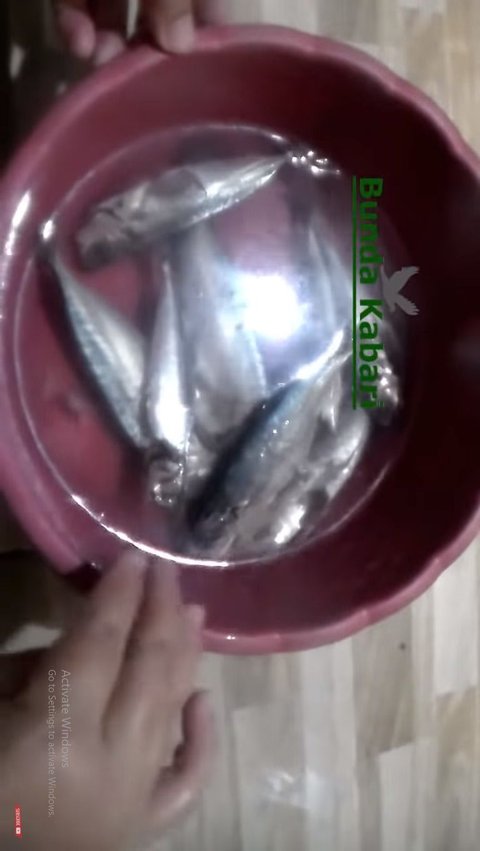 Masukkan Ikan ke alam Air