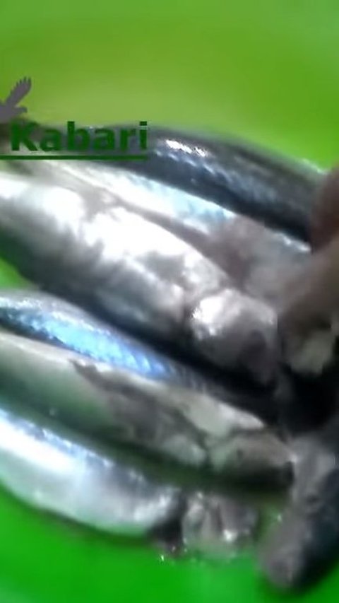 Cuci Ikan Kembali