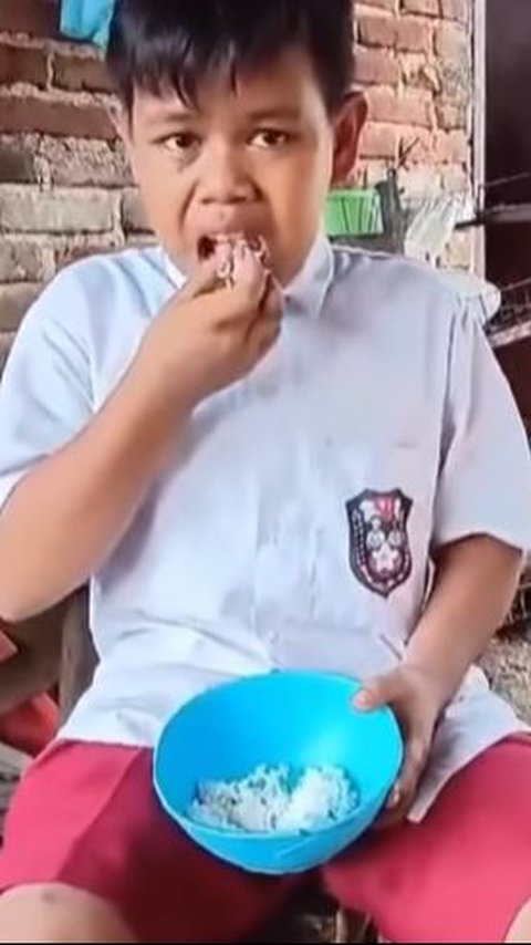 Kisah Pilu Bocah Kelas 3 SD Setiap Hari Makan Nasi Putih, Bikin Mewek Warganet