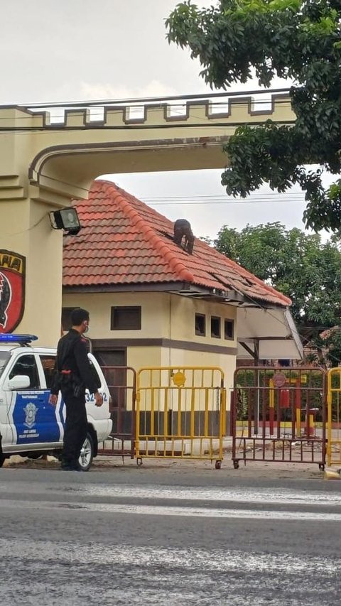 Bomb Explodes at Mako Brimob Surabaya, Building Collapses and Releases Fire