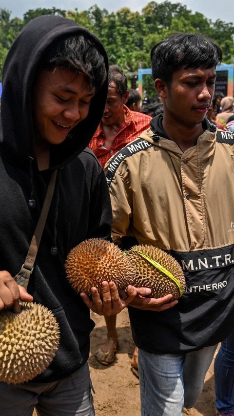 Meskipun beberapa orang tak begitu menyukai aroma khas durian, namun bagi penggemarnya, buah ini tetap dianggap favorit dan istimewa. Foto: JUNI KRISWANTO / AFP<br>