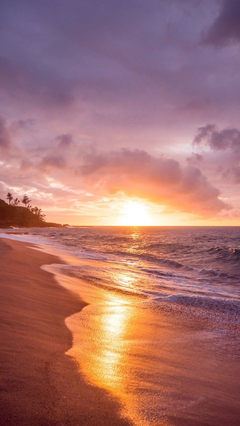 Kata Kata Senja di Pantai dari Para Tokoh<br>