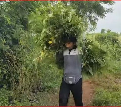 Dua Anak Bupati Rembang Ini Terpilih Jadi Anggota DPRD, Begini Kisah di Baliknya