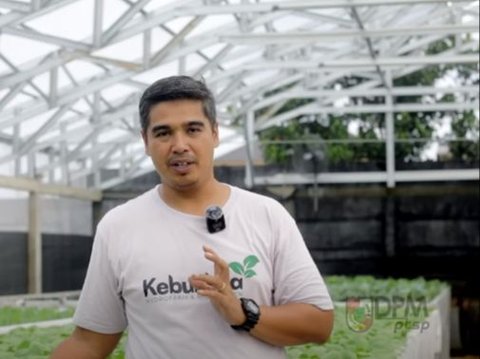 Gunakan Metode Tanam yang Berbeda, Pria Ini Ungkap Rahasia Sukses Bisnis Sayuran Hidroponik di Riau
