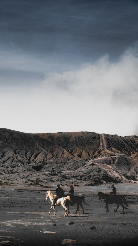 Bromo adalah nama sebuah gunung yang berlokasi di Kabupaten Probolinggo, Jawa Timur. Gunung Bromo adalah bagian dari Taman Nasional Bromo Tengger Semeru yang terkenal di Indonesia.