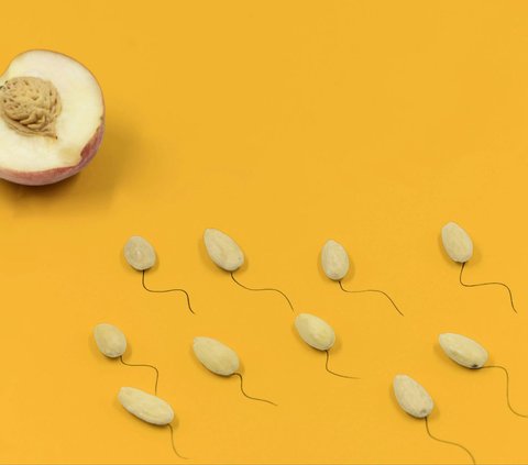 Cara Meningkatkan Produksi Sperma dengan Alami dan Aman