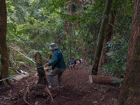 Menyusuri Medan Terjal demi Menyingkap 4 Hektare Ladang Ganja di Rimba Lamteuba Aceh Besar