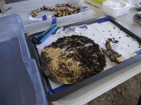 Stacks of Priceless Gold Artifacts Found in 1300-Year-Old Ancient Tomb