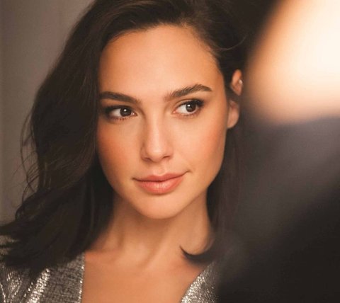 Gal Gadot Welcomes A Baby Girl After Secret Pregnancy | Trstdly ...