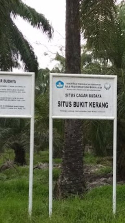 Banyak Ditemukan Sampah Molusca, Ini Fakta Menarik Situs Bukit Kerang di Aceh Tamiang<br>