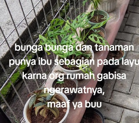 Pria Ini Bagikan Kondisi Rumah Setelah Setahun Tanpa Ibu, Curhatannya Viral Bikin Haru