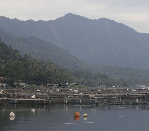 Terbentuk dari Letusan Gunung Berapi, Simak Fakta Menarik Danau Maninjau di Sumatra Barat