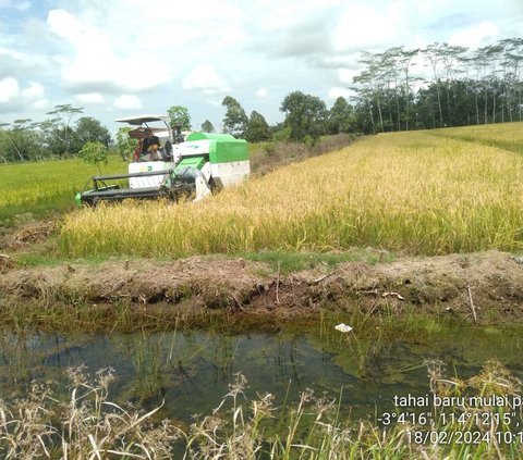 Eks Mentan: Mekanisasi Pertanian Dibutuhkan untuk Mewujudkan Ketahanan Pangan Nasional