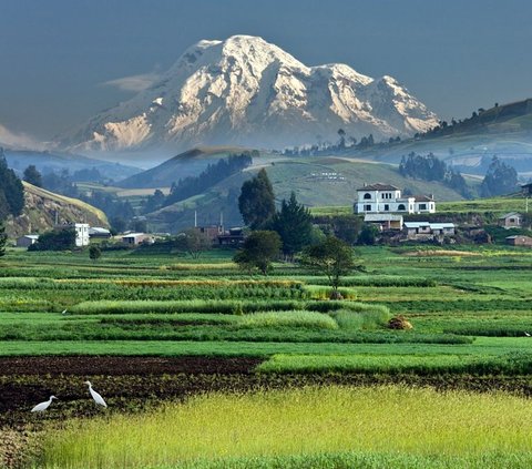 Apa Gunung Tertinggi di Bumi? Ternyata Bukan Everest, Ini Jawabannya