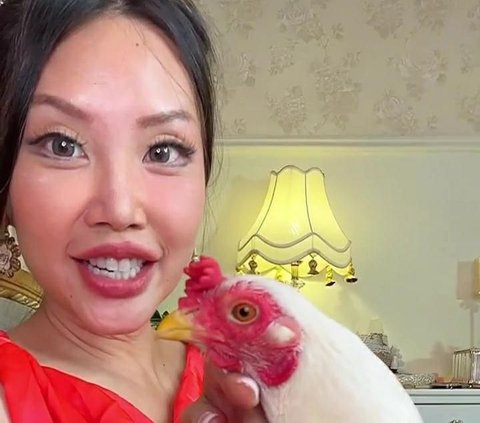 10 Portraits of Chef Vindy Lee's Special Treatment for Pet Chicken, Inviting for a Car Ride and Giving Ice Cream