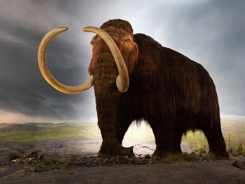 Ilmuwan Akan Bangkitkan Kembali Mammoth Berbulu yang Hidup 6,2 Juta Tahun Lalu, Catat Waktunya