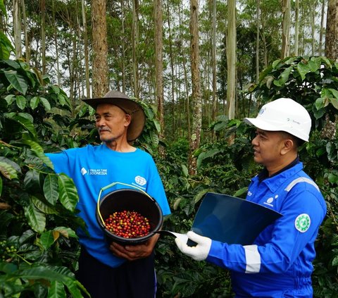 Dukung Pertanian Berkelanjutan, Surveyor Indonesia Gandeng Sekolah Tani Replanting Tanaman Kopi