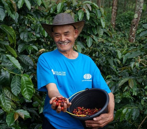 Dukung Pertanian Berkelanjutan, Surveyor Indonesia Gandeng Sekolah Tani Replanting Tanaman Kopi