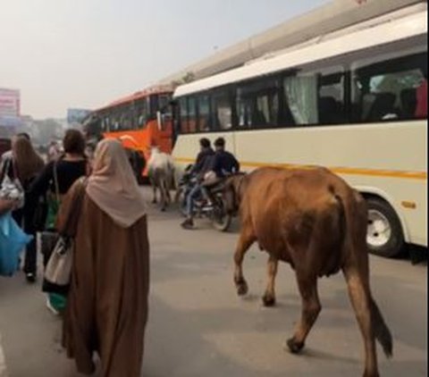 Netizens +62 Share Traveling Experiences to India, Astonished When Watching This Phenomenon